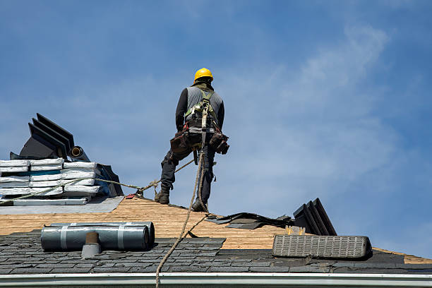 Professional Metal Roofing technician working in Amelia, LA